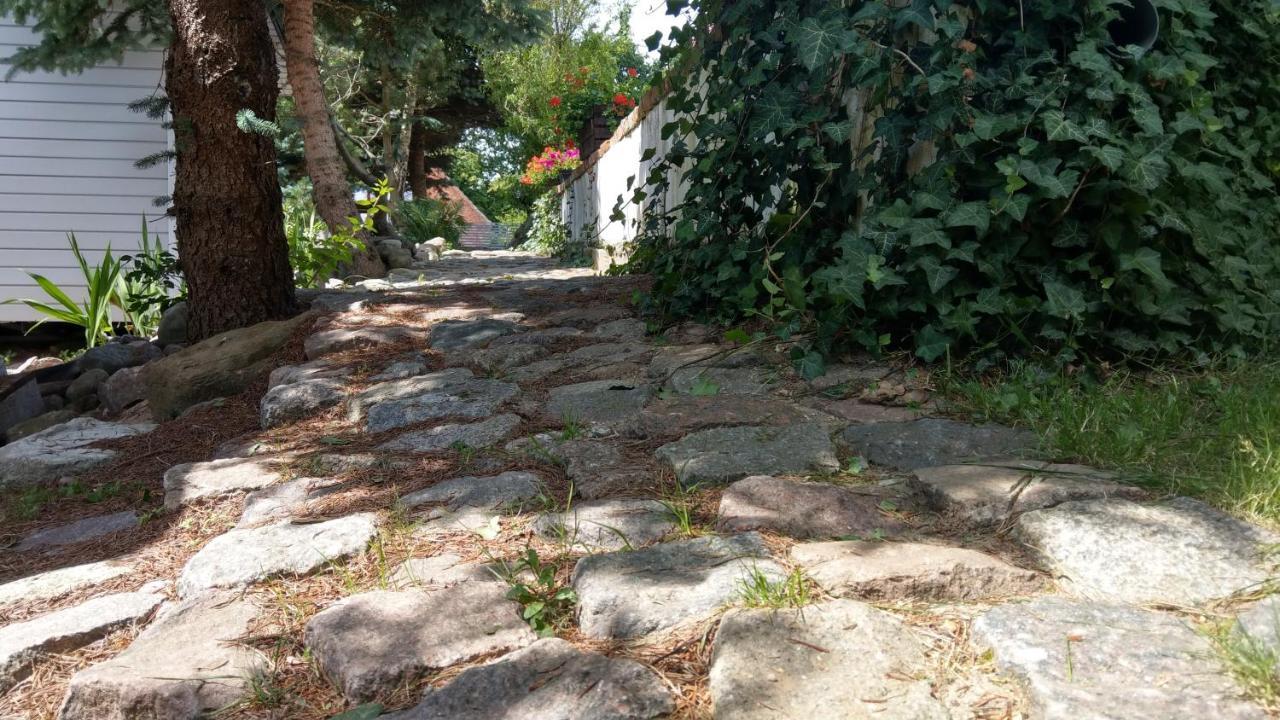 Kamien Baltyku Domki Debina  Dış mekan fotoğraf